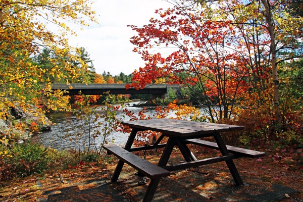 Anyone For Fall Picnic By The Lake by Deb Oppermann